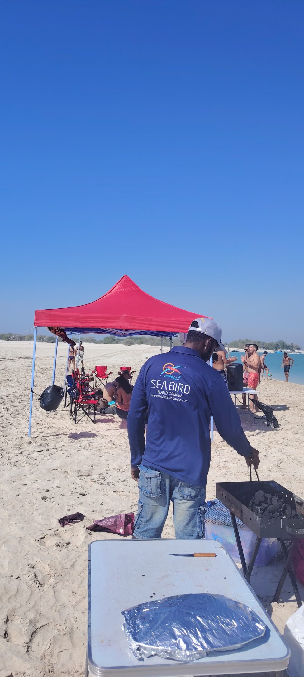 Dolphin island tours Abu Dhabi