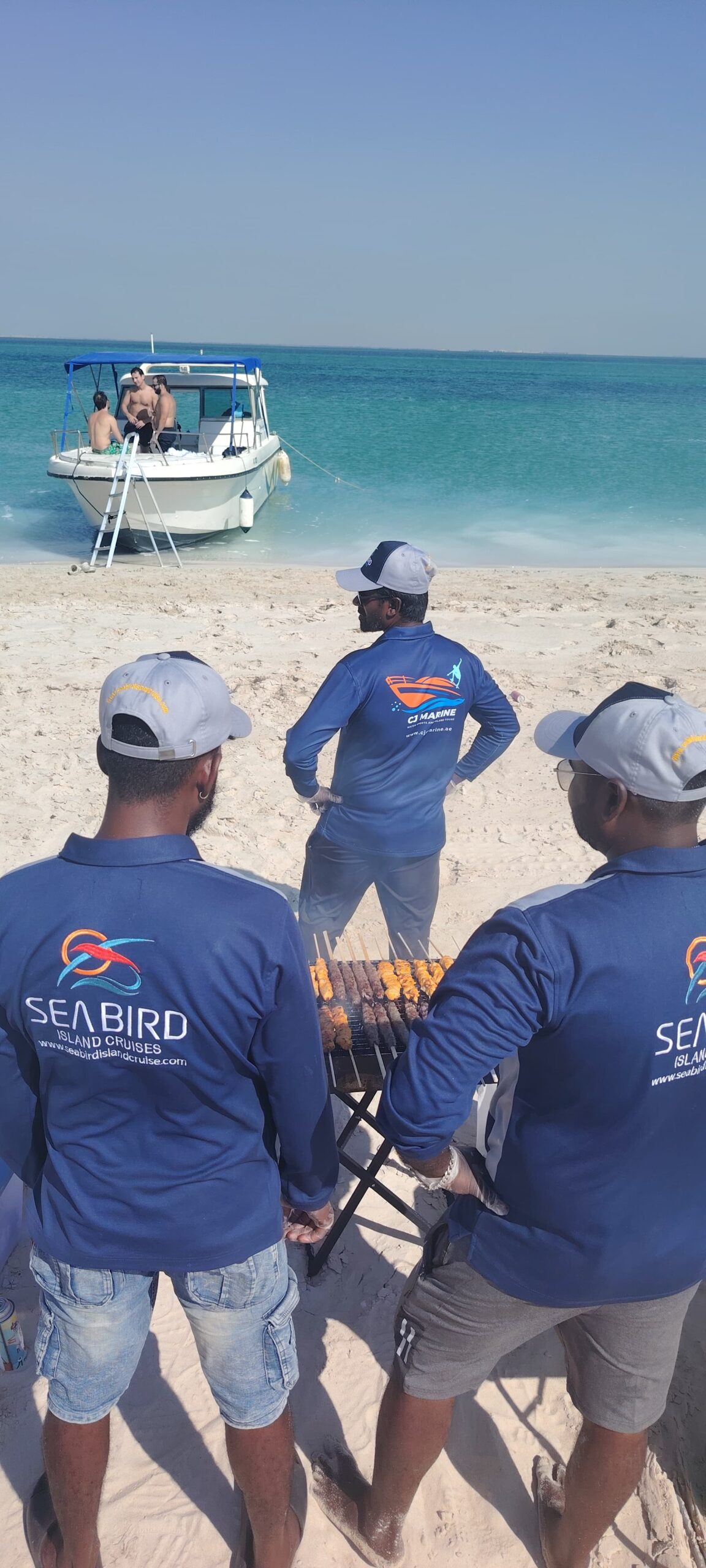 Dolphin island tours